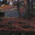 IMG_1498金沢城の石垣