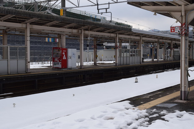 Photos: 敦賀駅の写真0064