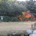 Photos: 岡山後楽園の写真0051