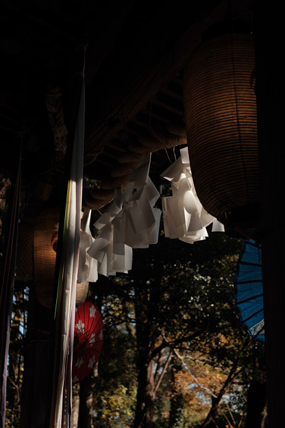 Photos: 21馬場氷川神社_拝殿-2597