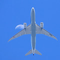 JA829A　 全日空　Boeing 787-8 Dreamliner