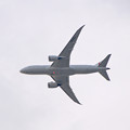 Photos: JA846J　日本航空　Boeing 787-8 Dreamliner
