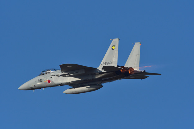 Photos: F-15J 306SQ