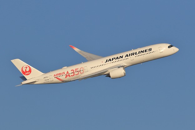 JAL Airbus A350-900