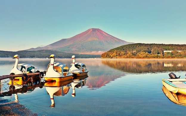 Photos: スワンの湖　～初秋～
