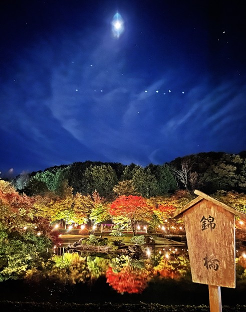Photos: 錦秋の風景 ～月光～