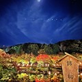 Photos: 錦秋の風景 ～月光～