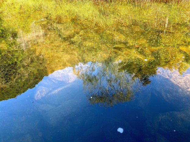 Photos: 池に映る青空