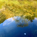 Photos: 池に映る青空