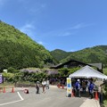 Photos: 白井大町藤公園