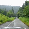 Photos: 森林鉄道跡の直線林道