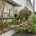 Photos: 台風14号の爪痕 (5)