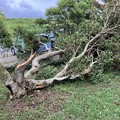 Photos: 台風14号の爪痕 (3)