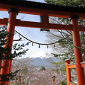 Photos: 鳥居越しの富士