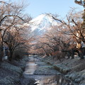 Photos: 冬の小川