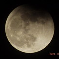 Photos: 2021/11/19（金）・満月（ビーバームーン）