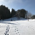 Photos: 0109_山の公園