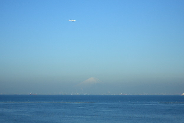 東京湾からの富士山