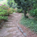 小石川植物園31