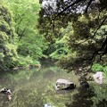 Photos: 名主の滝公園02