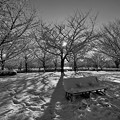 都会の雪の公園の朝