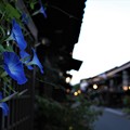 Photos: 飛騨高山　古い町並み