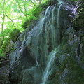 石尊の滝 花園神社