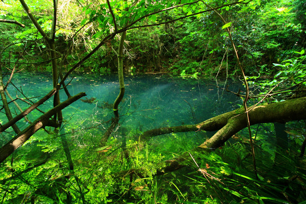 Photos: 622 日立の神の子池 富士権現下の青い池