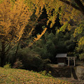 Photos: 769 厳島神社 諏訪の水穴