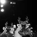 Photos: 吉里吉里鹿子踊り ひたち秋祭り～郷土芸能大祭