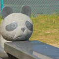 Photos: 230 折笠公園のパンダ