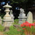348 若葉町の須賀神社