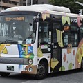 Photos: 関越-循10マイバス南循環