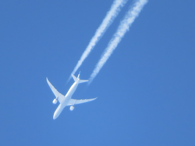 Photos: ANAの飛行機雲
