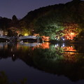 Photos: 夜の太鼓橋
