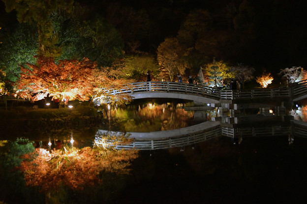 Photos: 夜の太鼓橋