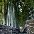 Photos: 竹林の小径