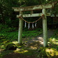 Photos: 神社と木漏れ日