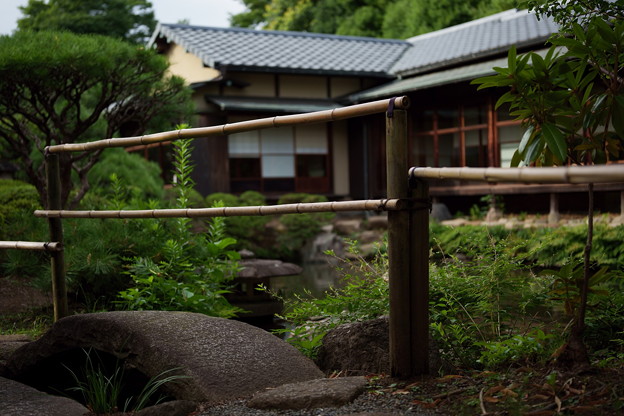 Photos: 曇りの日本庭園