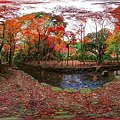 京都　上賀茂神社の紅葉