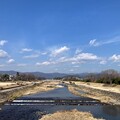 写真: 春めく賀茂川