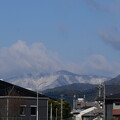 写真: 雪の愛宕山