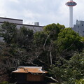 漱枕居（そうちんきょ）と京都タワー