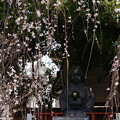 阿亀桜の中の阿亀の像