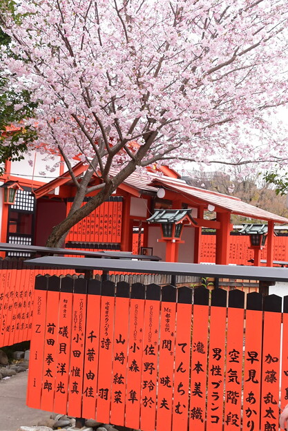 芸能神社の桜
