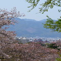 写真: 桜の上の舟形