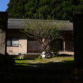 写真: 延命山地蔵寺