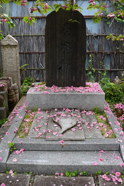 散り桜の茶釜塚
