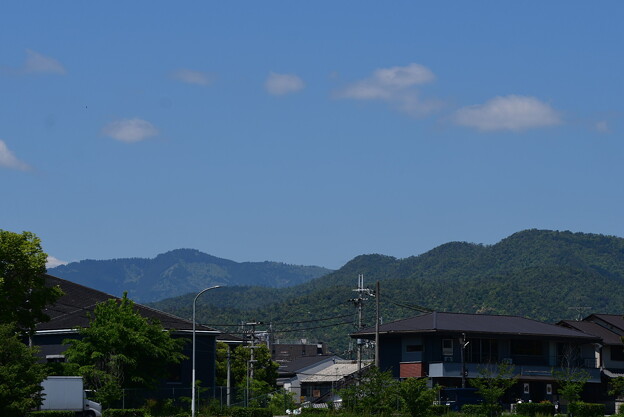 緑の愛宕山