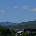 写真: 緑の愛宕山